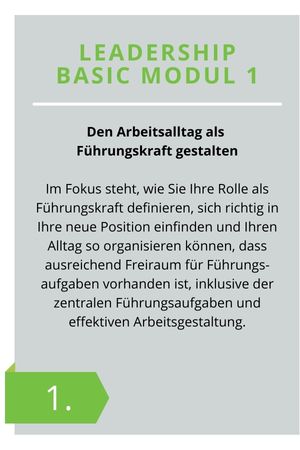 Grafik Ausbildungsstruktur Young Professional Leader Part 1