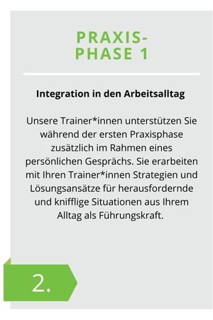 Grafik Ausbildungsstruktur Young Professional Leader Part 2