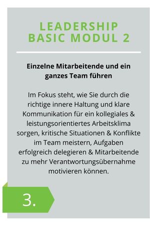 Grafik Ausbildungsstruktur Young Professional Leader Part 3